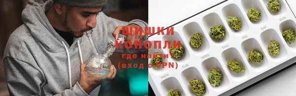 молекула духа Пересвет