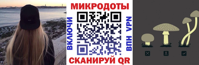 Псилоцибиновые грибы Psilocybine cubensis  Аргун 